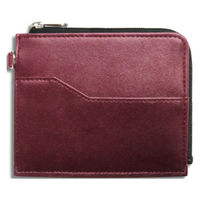 コレクト フラグメントケース ワイン CH-200V-WI 1個（直送品）