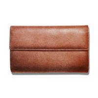 コレクト マルチケース アコーディオン式 茶 CP-34V-BR 1冊（直送品）