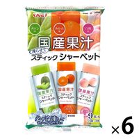 国産果汁スティックシャーベット しんこう