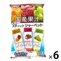国産果汁スティックシャーベット しんこう