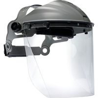 Bolle Safety かぶり面 IFS20 PFSIFS2109 1個 682-0724（直送品）