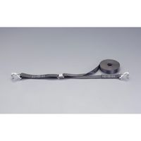 エスコ 25mmx3m/45kg 荷締ストラップ(ステンレス/カム式/フック) EA982BA-173 1セット(2個)（直送品）