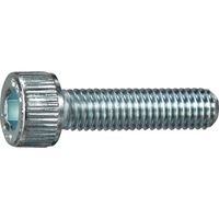 TRUSCO 六角穴付ボルト ステンレス 全ネジ M2×10 22本入