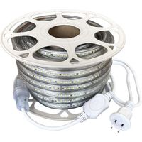 富士倉 両面発光LEDロープライト 10M 白色 FRL-W10M-W 1巻 554-5601（直送品）