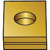 サンドビック SANDVIK オート Tーラインチップ(170) 3040 LNE 323-PL1 1セット(10個) 623-1957（直送品）