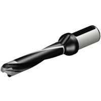 サンドビック SANDVIK コロドリル870 ヘッド交換式ドリル(446) 870-2500-25LX125-5 1本 314-5179（直送品）