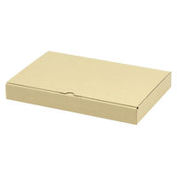 ヤマニパッケージ 宅配 箱 EE-121 宅送用ギフト箱3cm 2201000236651 1セット(200個入)（直送品）