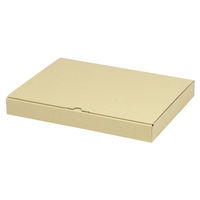 ヤマニパッケージ 宅配 箱 EE-122 宅送用ギフト箱3cm 2201000236668 1セット(200個入)（直送品）