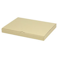 ヤマニパッケージ 宅配 箱 EE-124 宅送用ギフト箱3cm 2201000236682 1セット(200個入)（直送品）