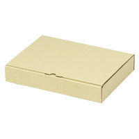 ヤマニパッケージ 宅配 箱 EE-172 宅送用ギフト箱4cm 2201000236811 1セット(100個入)（直送品）