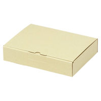 ヤマニパッケージ 宅配 箱 EE-170 宅送用ギフト箱4cm 2201000236798 1セット(100個入)（直送品）