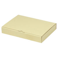 ヤマニパッケージ 宅配 箱 EE-173 宅送用ギフト箱4cm 2201000236828 1セット(100個入)（直送品）