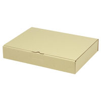 ヤマニパッケージ 宅配 箱 EE-184 宅送用ギフト箱5cm 2201000236910 1セット(100個入)（直送品）