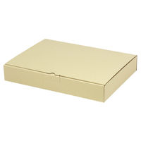 ヤマニパッケージ 宅配 箱 EE-185 宅送用ギフト箱5cm 2201000236927 1セット(100個入)（直送品）