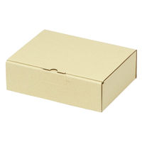 ヤマニパッケージ 宅配 箱 EE-190 宅送用ギフト箱6cm 2201000236996 1セット(100個入)（直送品）