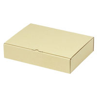 ヤマニパッケージ 宅配 箱 EE-193 宅送用ギフト箱6cm 2201000237023 1セット(100個入)（直送品）