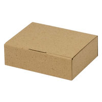 ヤマニパッケージ 箱 EE-350 カル段組立式6cm 2201000237030 1セット(100個入)（直送品）