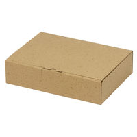 ヤマニパッケージ 箱 EE-352 カル段組立式6cm 2201000237054 1セット(100個入)（直送品）