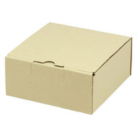 ヤマニパッケージ 宅配 箱 EE-130 宅送用ギフト箱7cm 2201000237078 1セット(100個入)（直送品）