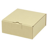 ヤマニパッケージ 宅配 箱 EE-131 宅送用ギフト箱7cm 2201000237085 1セット(100個入)（直送品）