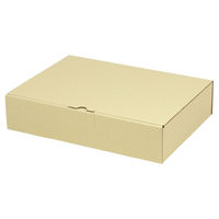 ヤマニパッケージ 宅配 箱 EE-134 宅送用ギフト箱7cm 2201000237115 1セット(100個入)（直送品）