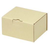 ヤマニパッケージ 宅配 箱 EE-150 宅送用ギフト箱10cm 2201000237269 1セット(60個入)（直送品）