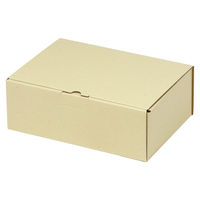 ヤマニパッケージ 宅配 箱 EE-152 宅送用ギフト箱10cm 2201000237283 1セット(60個入)（直送品）