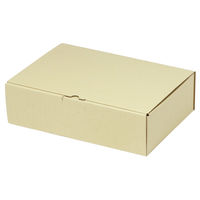 ヤマニパッケージ 宅配 箱 EE-154 宅送用ギフト箱10cm 2201000237306 1セット(60個入)（直送品）