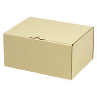 ヤマニパッケージ 宅配 箱 EE-160 宅送用ギフト箱12cm 2201000237313 1セット(50個入)（直送品）