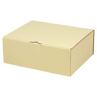 ヤマニパッケージ 宅配 箱 EE-164 宅送用ギフト箱12cm 2201000237351 1セット(50個入)（直送品）