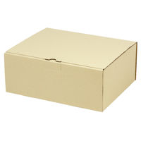 ヤマニパッケージ 宅配 箱 EE-163 宅送用ギフト箱12cm 2201000237344 1セット(50個入)（直送品）