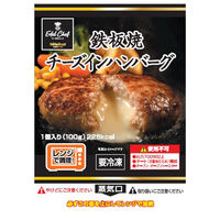 日東ベスト [冷凍] EC鉄板焼チーズインハンバーグ 100g×8個 4902385014367 1セット(100g×8個)（直送品）
