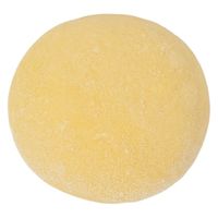イズム 496フランス発酵バターブリオッシュ40GX120 496 1箱（直送品）