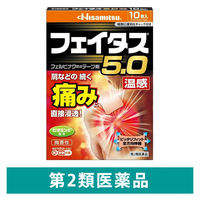 フェイタス 5.0温感 10枚 久光製薬 関節痛 筋肉痛 腰痛 腱鞘炎【第2類医薬品】