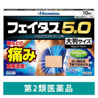 フェイタス 5.0大判サイズ10枚 久光製薬 関節痛 筋肉痛 腰痛 腱鞘炎【第2類医薬品】