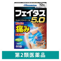 フェイタス 5.0 10枚 久光製薬 関節痛 筋肉痛 腰痛 腱鞘炎【第2類医薬品】