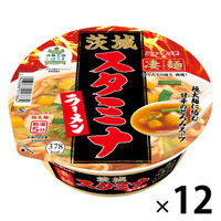 凄麺 茨城スタミナラーメン 115g 1セット（1食×12） ヤマダイ