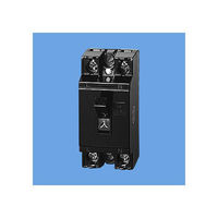 Panasonic 安全ブレーカHB型 2PIE 10A BS1110 1個（直送品）