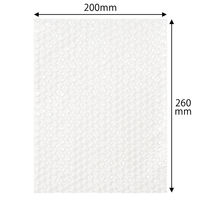 軽梱包用エアー緩衝袋フラップなし200mm×260mm 100枚入り PPFN31 1個（100枚） オリジナル