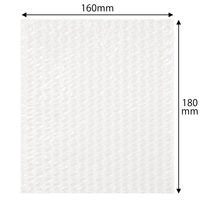 軽梱包用エアー緩衝袋フラップなし160mm×180mm 100枚入り PPFN21 1個（100枚） オリジナル