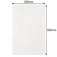 軽梱包用エアー緩衝袋フラップなし200mm×300mm 25枚入り PPFN04 1個（25枚） オリジナル