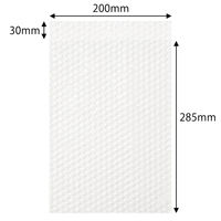 軽梱包用エアー緩衝袋 フラップあり 200×285+30mm　25枚入り PPFA04 1個（25枚） オリジナル