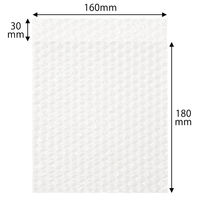 軽梱包用エアー緩衝袋 フラップあり 160×180+30mm　100枚入り PPFA31 1個（100枚） オリジナル