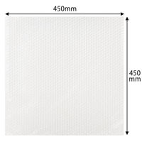 軽梱包用エアー緩衝袋フラップなし450mm×450mm 100枚入り PPFN71 1個（100枚） オリジナル