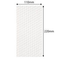 軽梱包用エアー緩衝袋フラップなし110mm×220mm 100枚入り PPFN11 1個（100枚） オリジナル