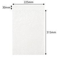 軽梱包用エアー緩衝袋 フラップあり 225×315+30mm　25枚入り PPFA05 1個（25枚） オリジナル