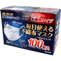RC TtBbg gsDz}XN ӂTCY 100 FM100BM 1(100)iij