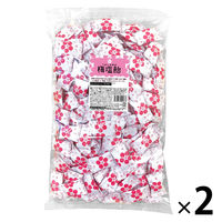 塩分対策 塩分補給 飴 キャンディ 梅塩飴 1kg 2袋  個包装 お配り栄光堂ファクトリー