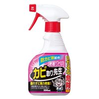 RWbg WF!Jr搶 hJrܔz 300ml 4969133288555 1Zbg(10)iij