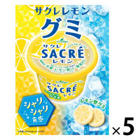 ワゴンセール】タフグミ バウンシーマスカット 6袋 カバヤ食品